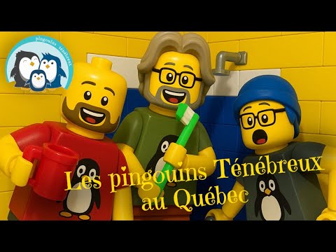 Aperçu de la vidéo