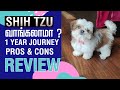 Shih Tzu dog | Dont Buy | 1 Year Detail Review | Care | Maintenance Cost | Price | Tamil | Nithya