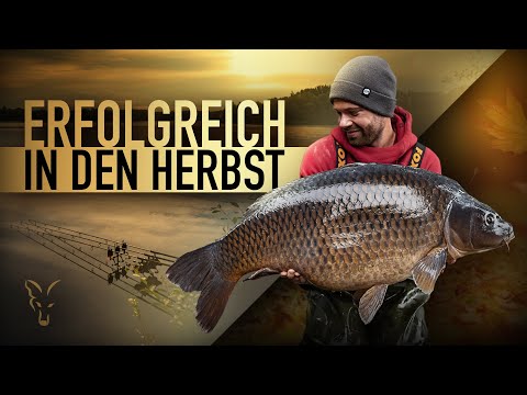 Erfolgreich Karpfenangeln im Herbst
