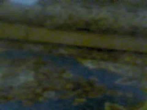 monsif rap awinate lhajaj