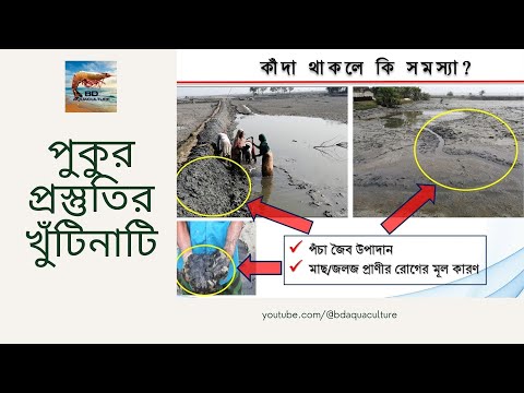 মৎস্য/চিংড়ি চাষে পুকুর প্রস্তুতির খুটিঁনাটি পর্ব-০১