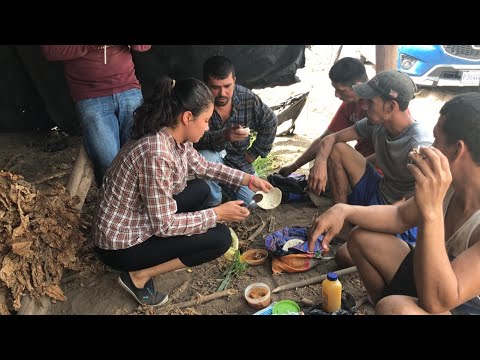 ASI DESAYUNA CUANDO SE TRABAJA EN EL CAMPO| se divertieron los muchachos