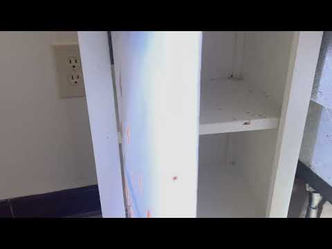 Bed Bugs Are All Over the Bedroom in Monmouth Junction, NJ