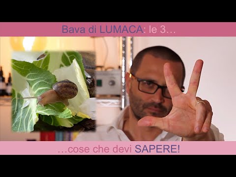 Bava di lumaca: le 3 cose che devi sapere!