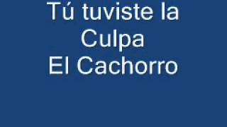 Tu tuviste la Culpa El Cachorro