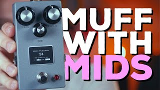 Video thumbnail for THE BEST MUFF YOU CAN GET! Browne Amplification T4 Fuzz (Demo) by Jackson Brooksby