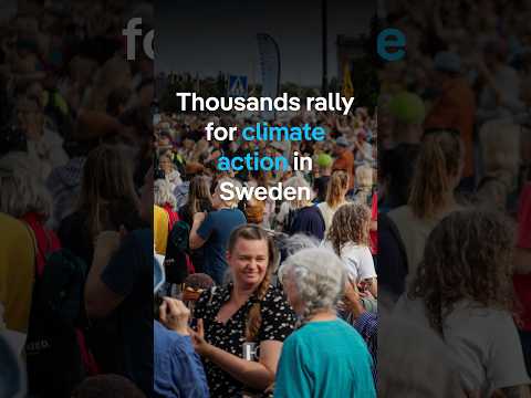 Thousands rally for climate action in Sweden | DW News