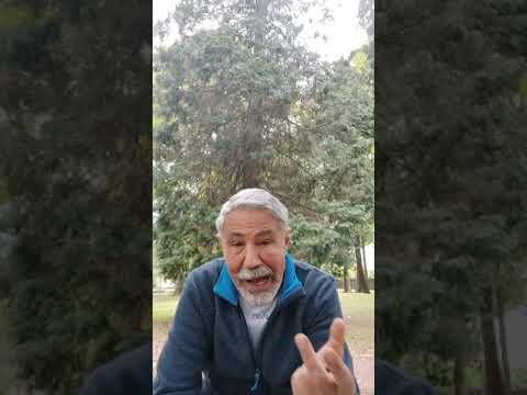 Strunz (poesia di Salvatore di Giacomo)