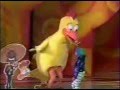 Piquito De Pollo
