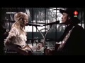 Common Linnets "Calm After The Storm" HD ...