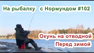 Отводной поводок на окуня зимой