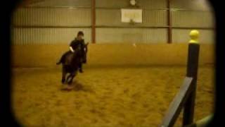 -Lesson ♥ 11.03.10 - Clink, Hartson, Yogi, Dylan and Flynn.