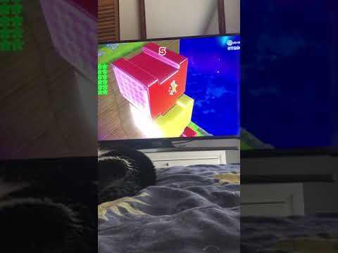 Super Mario 3D World + Bowser’s Fury: Mystery House Marathon All Characters