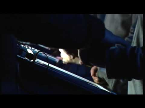 Trailers Fugitives Run