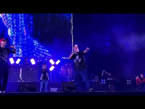 ZIKA BOY - PANIK GYAL FT RAFAELL COCOA, GIRU MAD FLEIVA, TRYHAN | PURA CALLE 2023