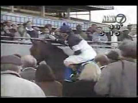 Talkin Man Wood Memorial 1995 - Wide Margin Win!