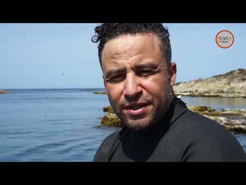 Tunisie : Expédition scientifique dans les Iles Cani, un coin de paradis à Bizerte (Reportage)