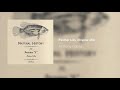 Anthony Collins - Panther Lies (Original Mix)
