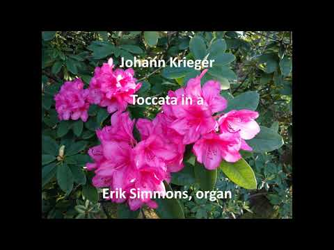 Johann Krieger - Toccata in a
