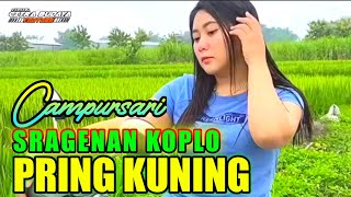 Download lagu Campursari Sragenan Koplo ~ PRING KUNING || Cover Song Lirik Audio Jernih Bass gleerrr mp3 Download lagu Campursari Sragenan Koplo ~ PRING KUNING || Cover Song Lirik Audio Jernih Bass gleerrr mp3