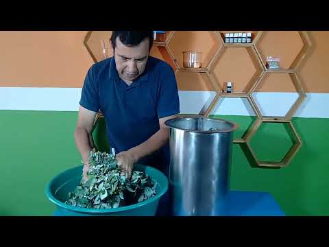 Aceites esenciales Video 9 - Preparación del material vegetal