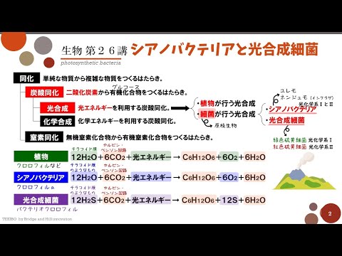 シアノバクテリアもメタンを生成します