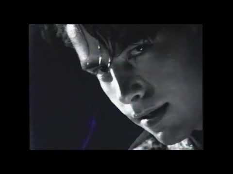 Laymen Twaist - Elle danse en moi - Vidéo Officielle