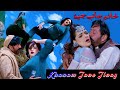 Khanam Jane Jinay Pashto New Song 2024 Shahid Khan Mehak Noor Pashto Song 2024