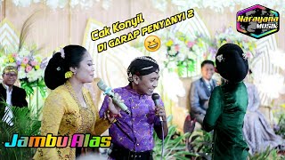 Download lagu Jambu Alas - Bojomu tak silih e  || Cak konyil di garap penyanyi 2 😁 || Narayana Musik mp3