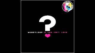 Muddyloop - If This Isn't Love (Joeblack 'Boogie' Remix) • (Preview)