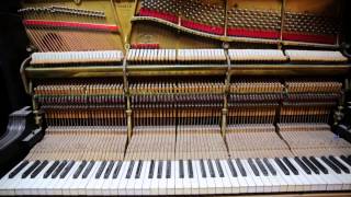 Bill Miller, The Piano Man