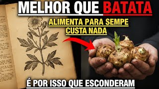 Melhor Que Batata: Produz Para Sempre, Sobrevive ao Caos — e Quase Ninguém Conhece