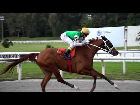 210904 c06 LINDA RUBIA (BRZ)