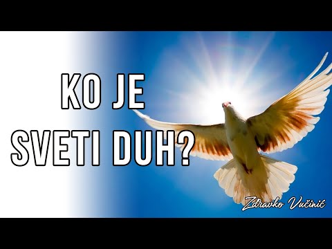 Ko je Sveti Duh, Zdravko Vučinić