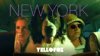 Yellofox - New York video