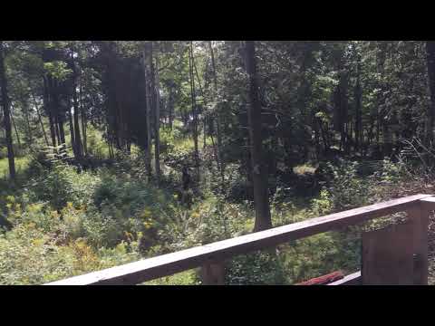 Last minute of Area of Operations: Steigen Airsoft Event