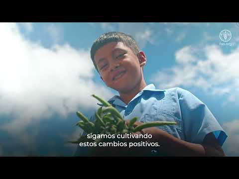 Huertos Escolares Pedagógicos – experiencia: Marcala, La Paz, Honduras
