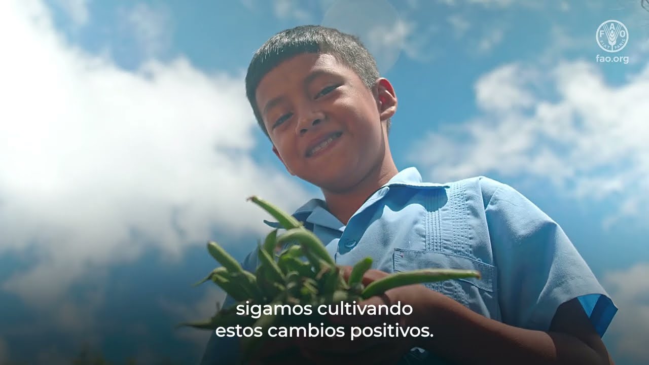Huertos Escolares Pedagógicos – experiencia: Marcala, La Paz, Honduras