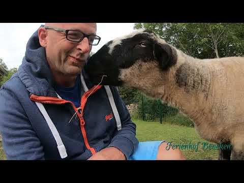 Ferienhof Beneken2019