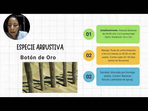 PLANIFICACION DE UN ARREGLO SILVOPASTORIL EN ROSAS CAUCA-DOLLY ALBAN