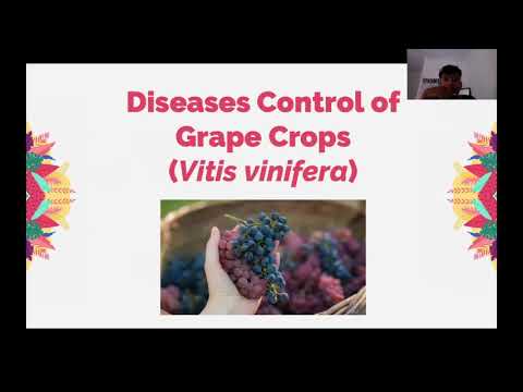 , title : 'Diseases Control of Grape Crops   A   Pests and Diseases of Perennial Crops'