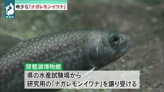 ９月２８日 びわ湖放送ニュース