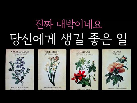 [타로] 소개로 찾아오는 타로🔮 진짜 대박이네요 당신에게 생길 좋은 일