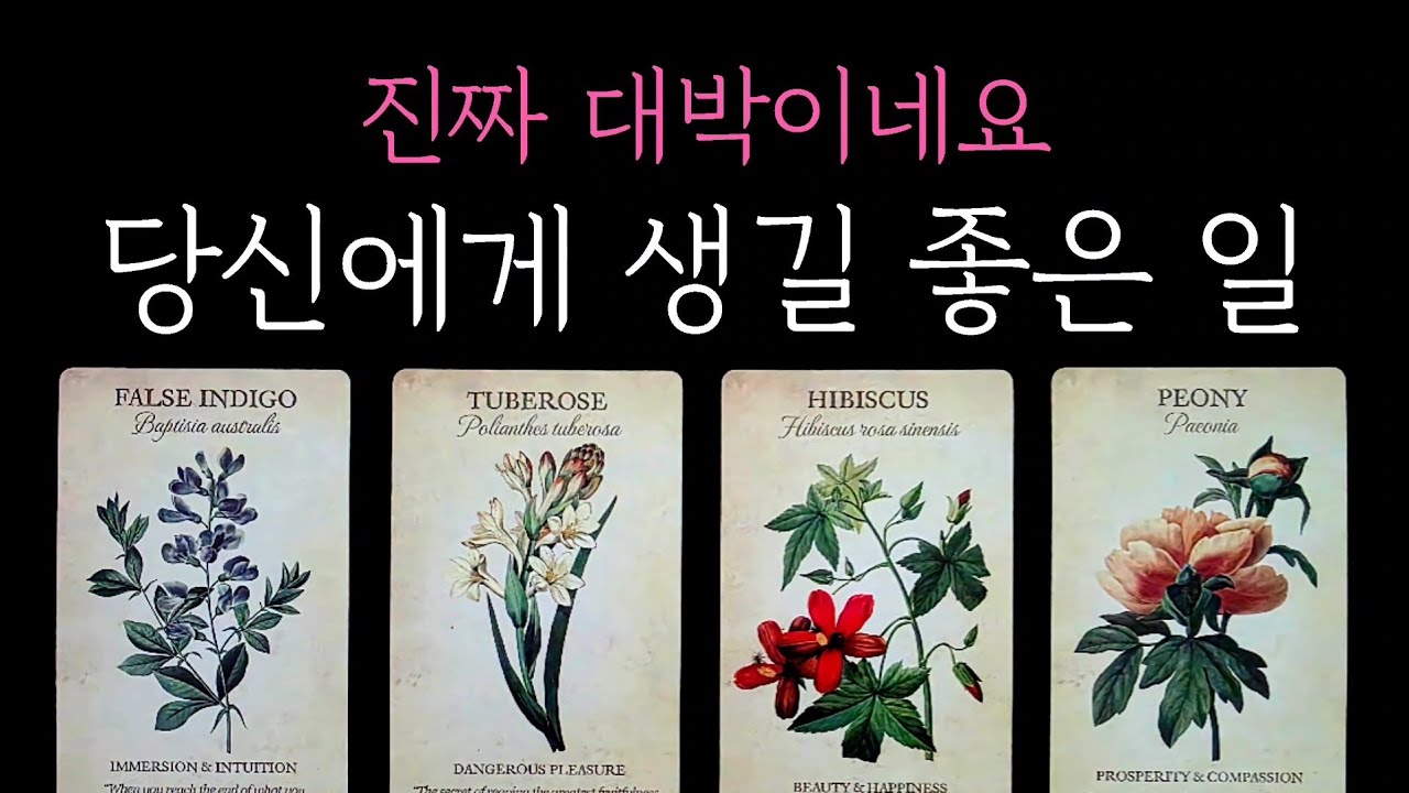 [타로] 소개로 찾아오는 타로🔮 진짜 대박이네요 당신에게 생길 좋은 일