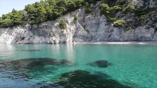 Justin Currie - Little Smile Inside (unreleased)