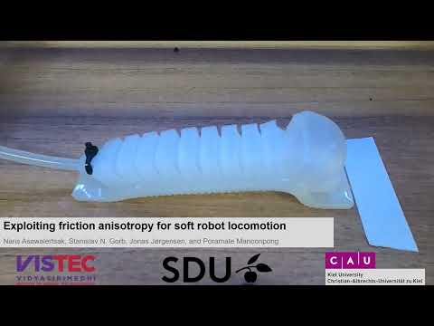 Exploiting Friction Anisotropy for Soft Robot Locomotion