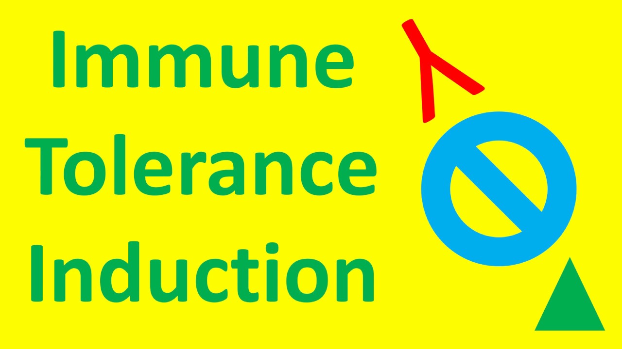 What is Immune Tolerance Induction? (Hemophilia A Inhibitors, Autoimmune Disease, Transplant)