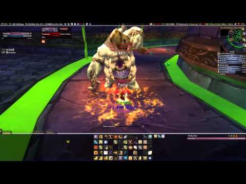 Lv90 Protection Paladin Solo 25M Patchwerk