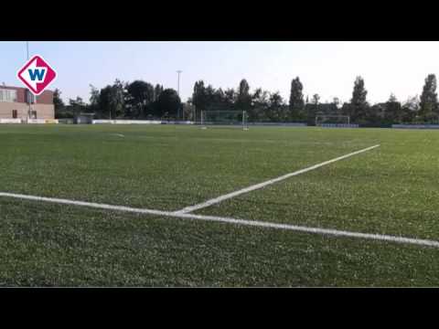 Konijnen zorgen voor overlast bij voetbalclub