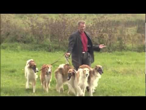 Gerd Christian singt "Ich träum von dir" mit Barsois in der Uckermark